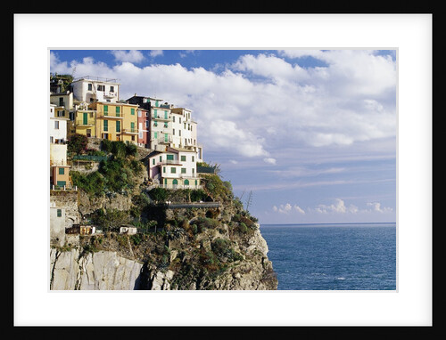 Houses on Sea Cliff in Manarola by Anonymous