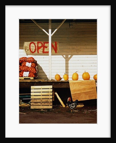 Open by Reynard Milici