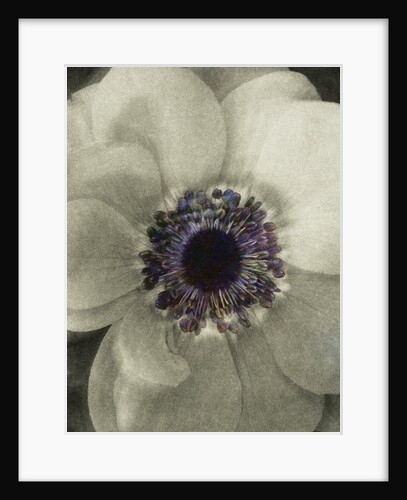 Color Middle by David Roseburg