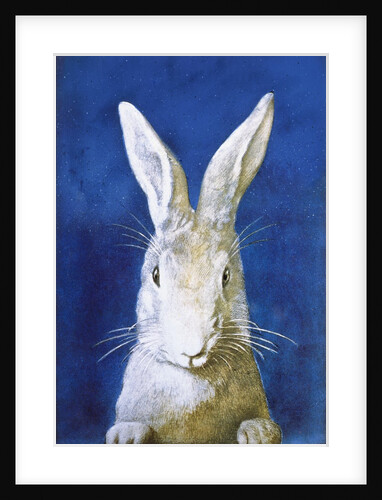 Magazine Cover Depicting a Rabbit by Frank S. Guild