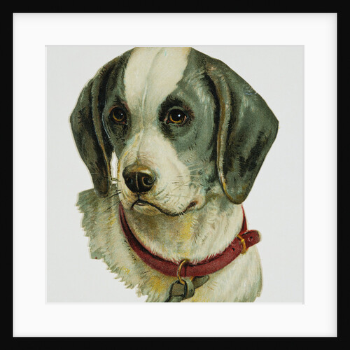 Illustration Depicting a Brown and White Dog by Anonymous