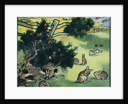 Illustration of Rabbits in a Field by Edwin Noble