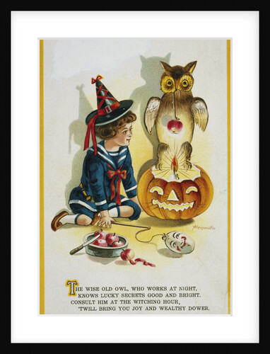 The Wise Old Owl Halloween Postcard by Anonymous