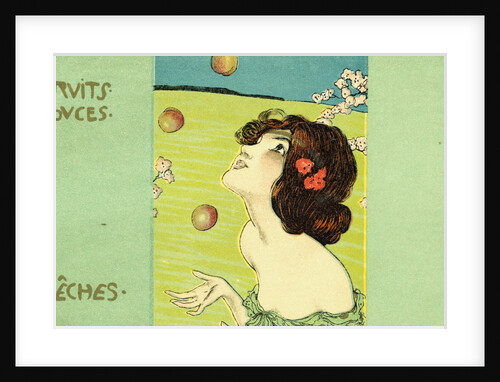 Fruits Douces: Peches Postcard by Anonymous