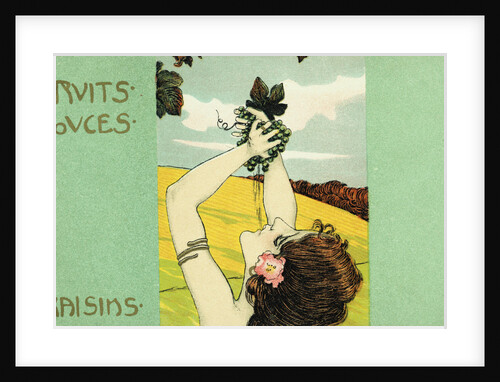 Fruits Douces: Raisins Postcard by Anonymous