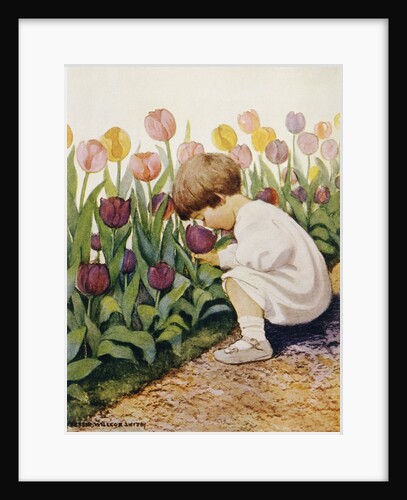 Illustration of a Child Smelling Tulips by Jessie Willcox Smith