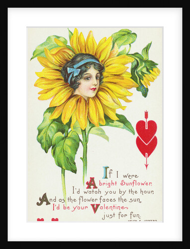 If I Were a Bright Sunflower, I'd Watch You by the Hour Postcard by Anonymous