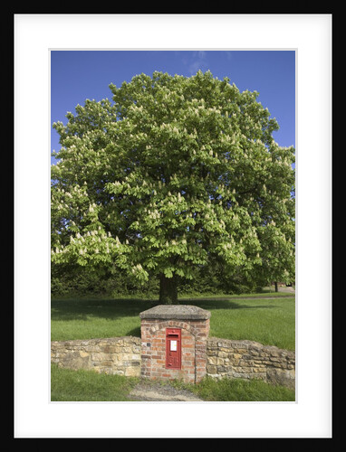 GR Royal Mail Rural Letter Box by Anonymous