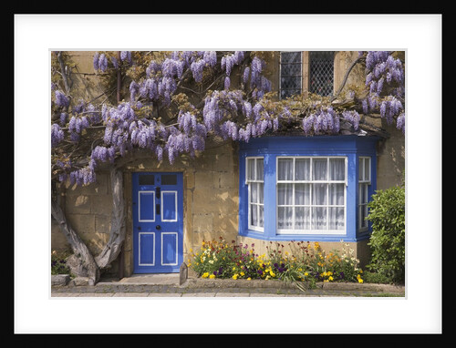 Wisteria-Covered Cottage by Anonymous