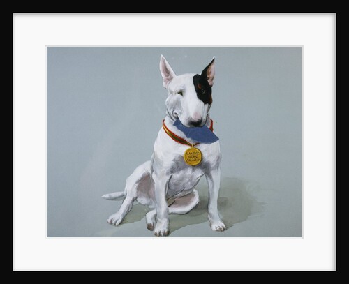 Darby Wearing a Medal from Darby, the Special-Order Pup by Alexandra Day