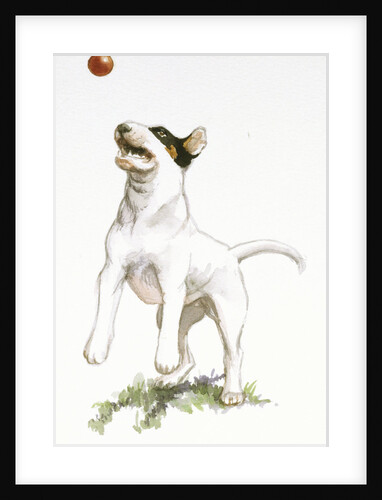 Darby Catching a Ball from Darby, the Special-Order Pup by Alexandra Day