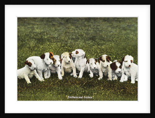 Brothers and Sisters Postcards by Anonymous