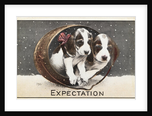 Expectation Postcard by Anonymous