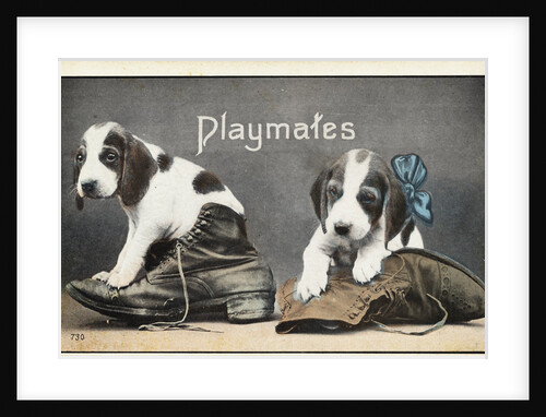 Playmates Postcard by Anonymous