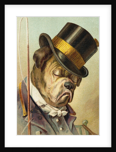 Postcard of a Bulldog Coachman Asleep by Anonymous