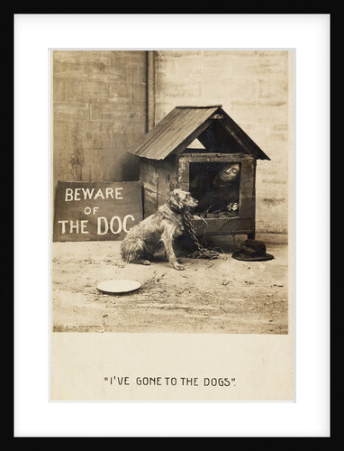 I've Gone to the Dogs Postcard by Anonymous