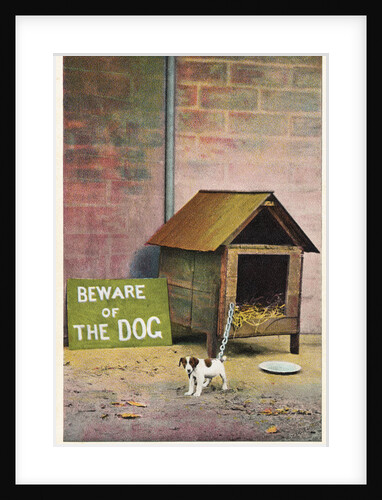 Beware of the Dog Postcard by Anonymous