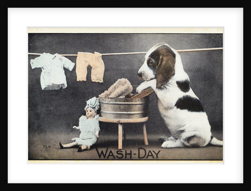 Wash-Day Postcard by Anonymous