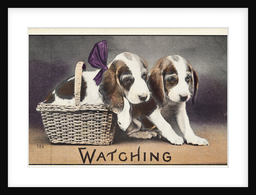 Watching Postcard by Anonymous