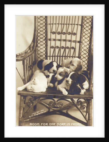 Room For One More In Front Photographic Postcard by Anonymous
