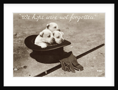 We Hope We're Not Forgotten Photographic Postcard by Anonymous