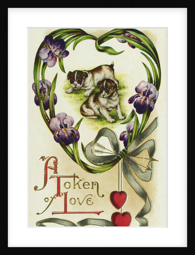 A Token of Love Postcard by Anonymous