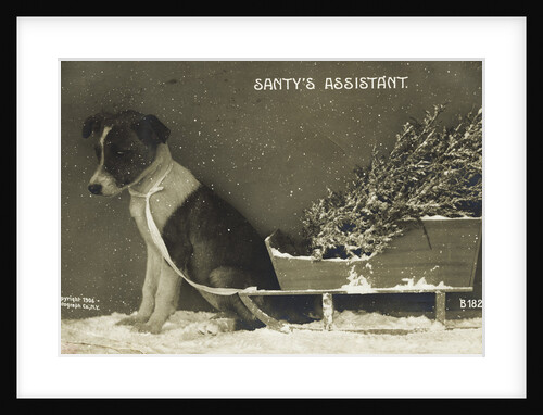 Santy's Assistant Postcard by Anonymous