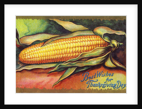 Best Wishes for Thanksgiving Day Postcard by Anonymous