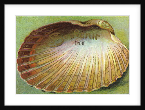 Souvenir From Postcard with Clam Shell by Anonymous