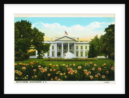 White House, Washington, D.C. Postcard by Anonymous