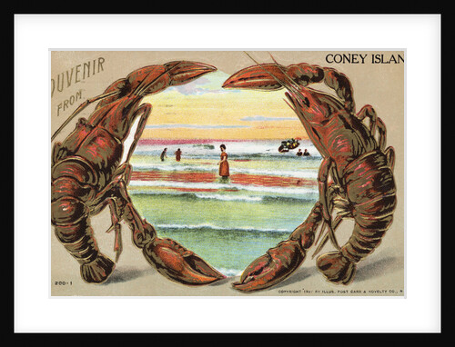 Souvenir from Coney Island Postcard by Anonymous