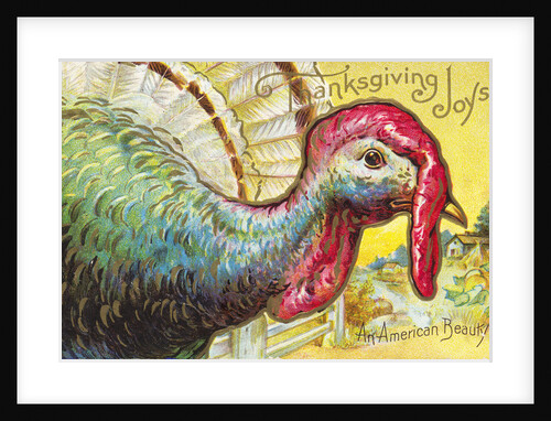 Thanksgiving Joys: An American Beauty Postcard by Anonymous