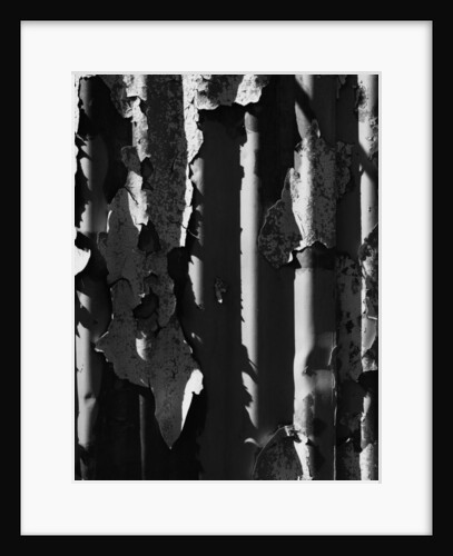 Peeling Corrugation #8 by Gordon Osmundson