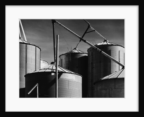 Coop Feeds by Gordon Osmundson