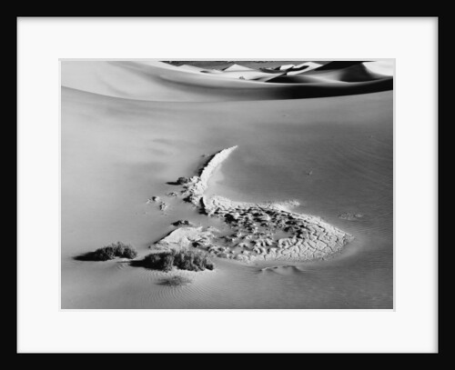 Sand Dune #17 by Gordon Osmundson
