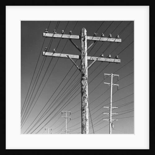 Poles and Wires by Gordon Osmundson
