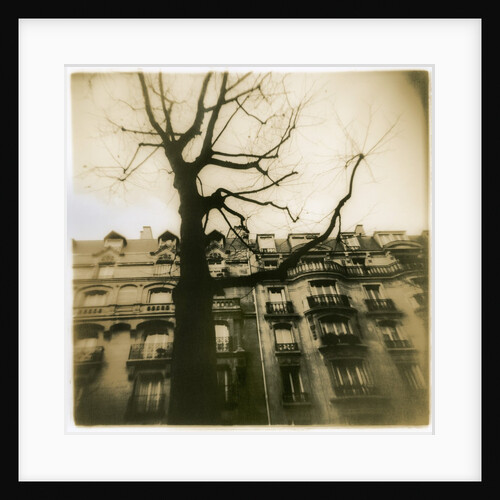 Urban Paris Landscape with Tree by Kevin Cruff