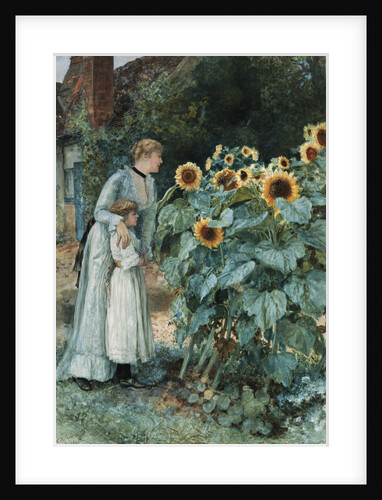 The Butterflies' Paradise by Edward Killingworth Johnson