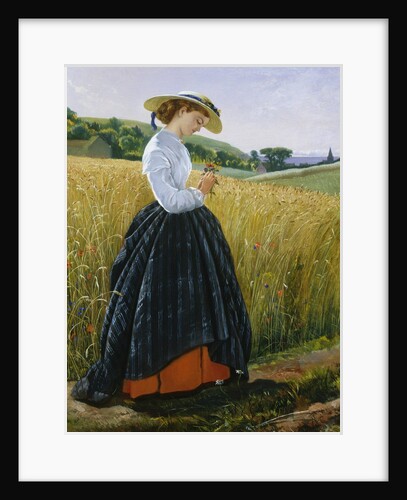 A Summer Ramble by Frank Herbert