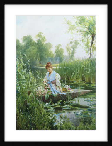 Waterlillies by Alfred Augustus Glendening II
