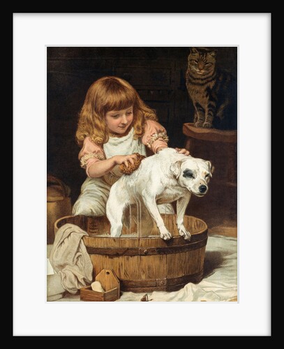 The Order of the Bath by Charles Burton Barber