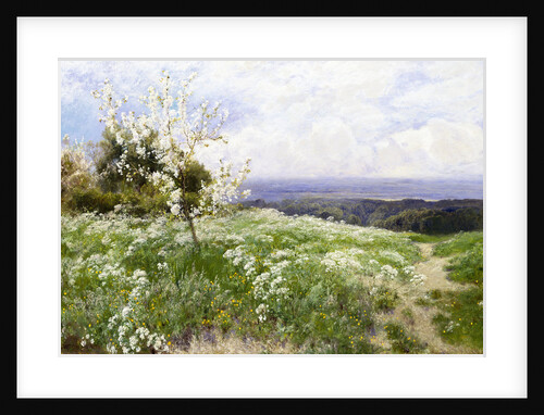 Spring Blossom by John Clayton Adams