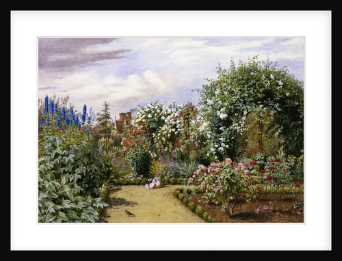 In the Time of Roses by Marian Emma Chase