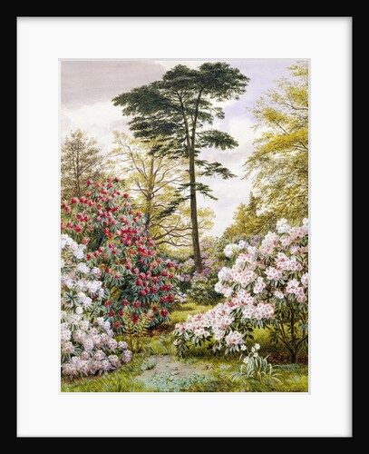 A Pretty Woodland Garden by Marian Emma Chase