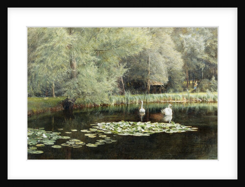 The Lily Pond by Edward R. Taylor
