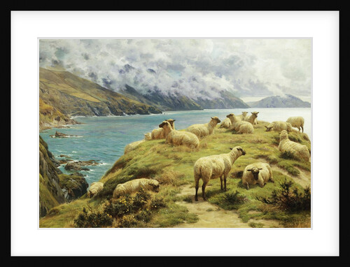 Sheep Reposing, Dalby Bay, Isle of Man by Basil Bradley
