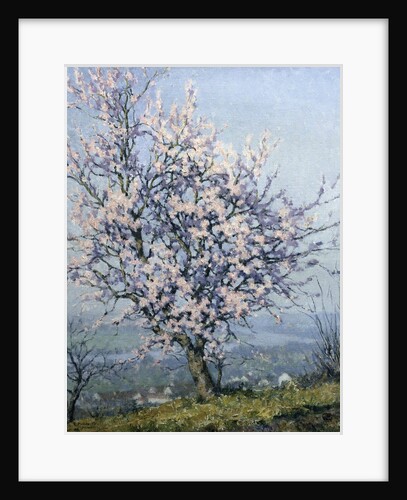 Spring by Emanuel Phillips Fox