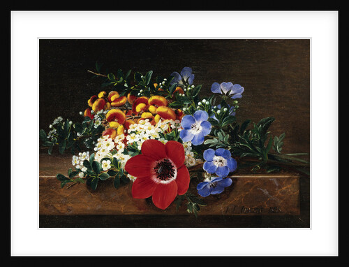 Anemone, White Spirea, Calceolaria and Blue Geranium by Johan Laurentz Jensen