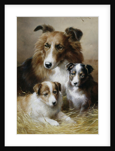 Pride and Joy by Carl Reichert