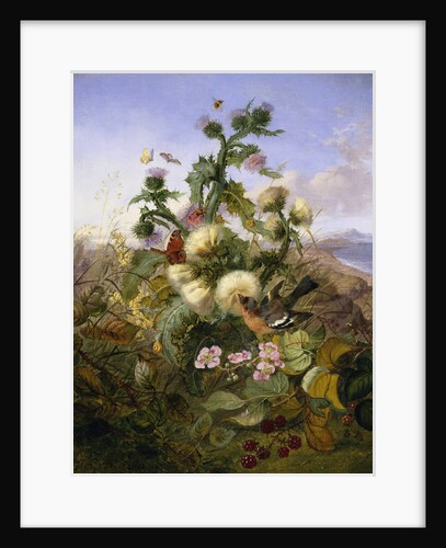 Nature's Gold by John Wainwright